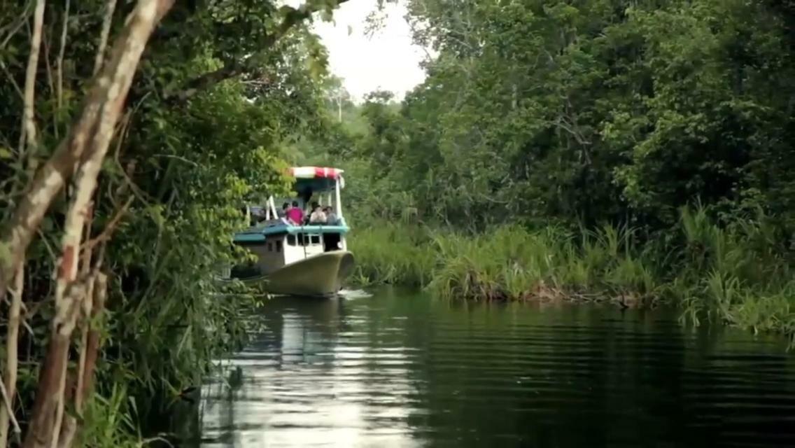 Orangutan Shaka Houseboat With Cabin Pangkalan Bun Ngoại thất bức ảnh