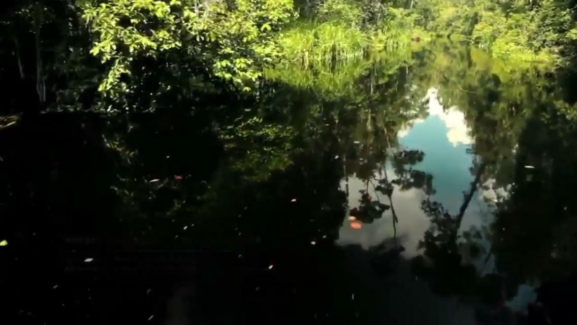 Orangutan Shaka Houseboat With Cabin Pangkalan Bun Ngoại thất bức ảnh