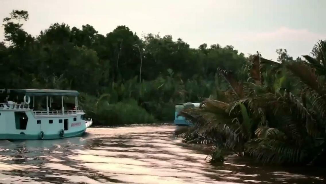 Orangutan Shaka Houseboat With Cabin Pangkalan Bun Ngoại thất bức ảnh