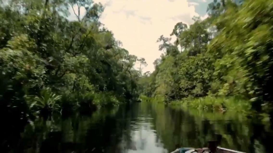 Orangutan Shaka Houseboat With Cabin Pangkalan Bun Ngoại thất bức ảnh