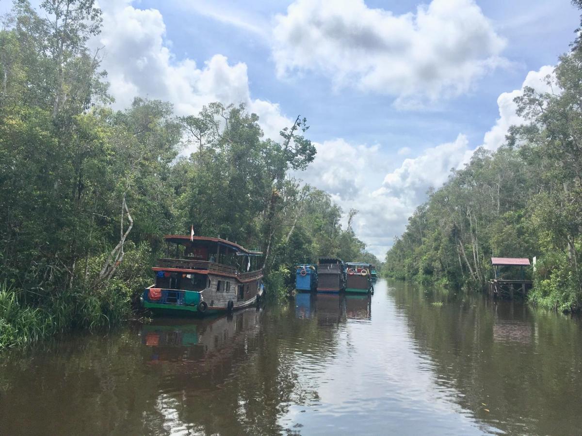 Orangutan Shaka Houseboat With Cabin Pangkalan Bun Ngoại thất bức ảnh